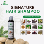 PA Organics Signature Hair Shampoo | Natural Cleanser with Seikakai & Amla | Anti-Dandruff & Fungal Relief